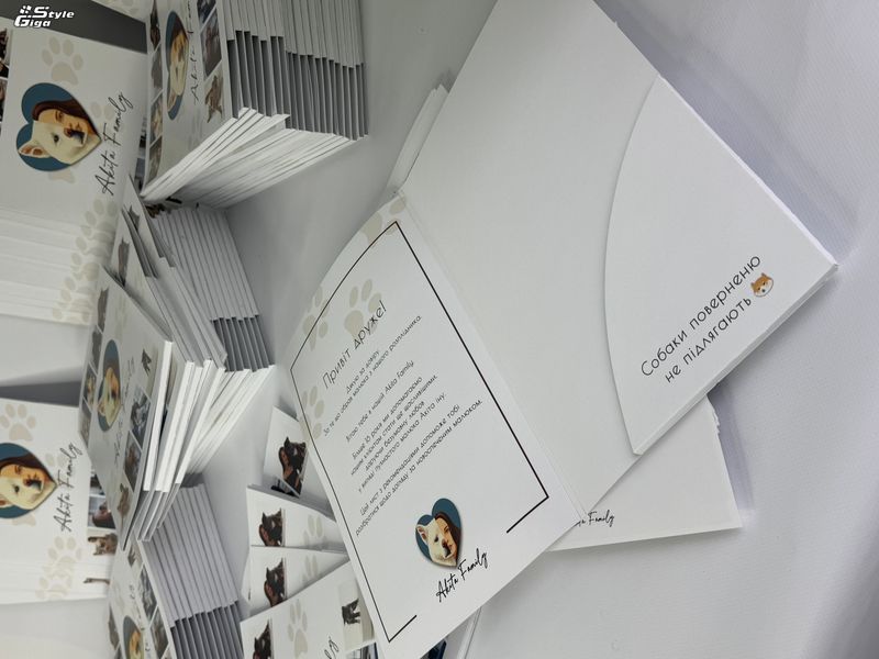 Папка А4 висічна картонна брендована / з кишенею для документів (10 шт без покриття) Папка А4 висічна картонна брендована / з кишенею для документів  фото