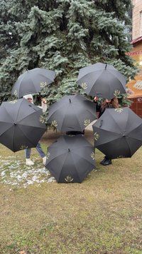 Парасоля брендована / тростина Wood з елементами дерева 1 шт  Парасоля брендована / тростина Wood з елементами дерева фото