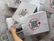 Паперові пакети з крученими ручками / повнокольоровий друк / 10 шт, 21х15х8 см