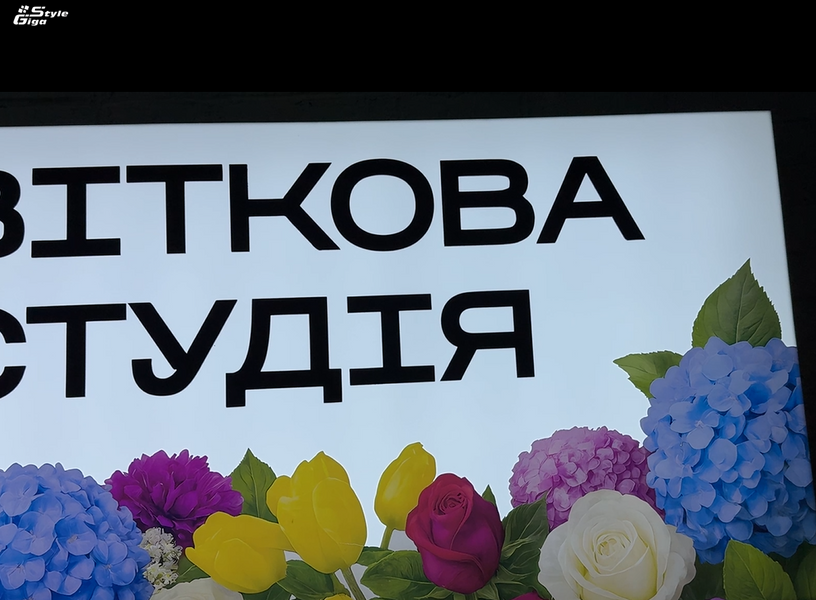 Лайтбокс з псевдооб'ємними елементами Лайтбокс  з псевдооб'ємними елементами фото